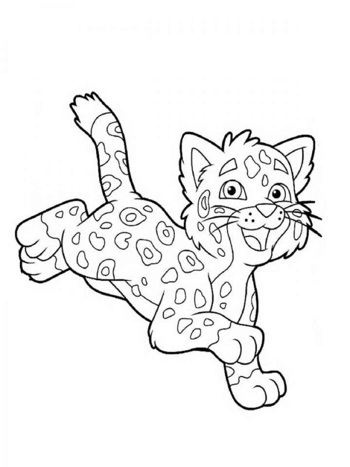 Baby Cheetah Coloring Pages
 Get This Cute Baby Cheetah Coloring Pages yat4m