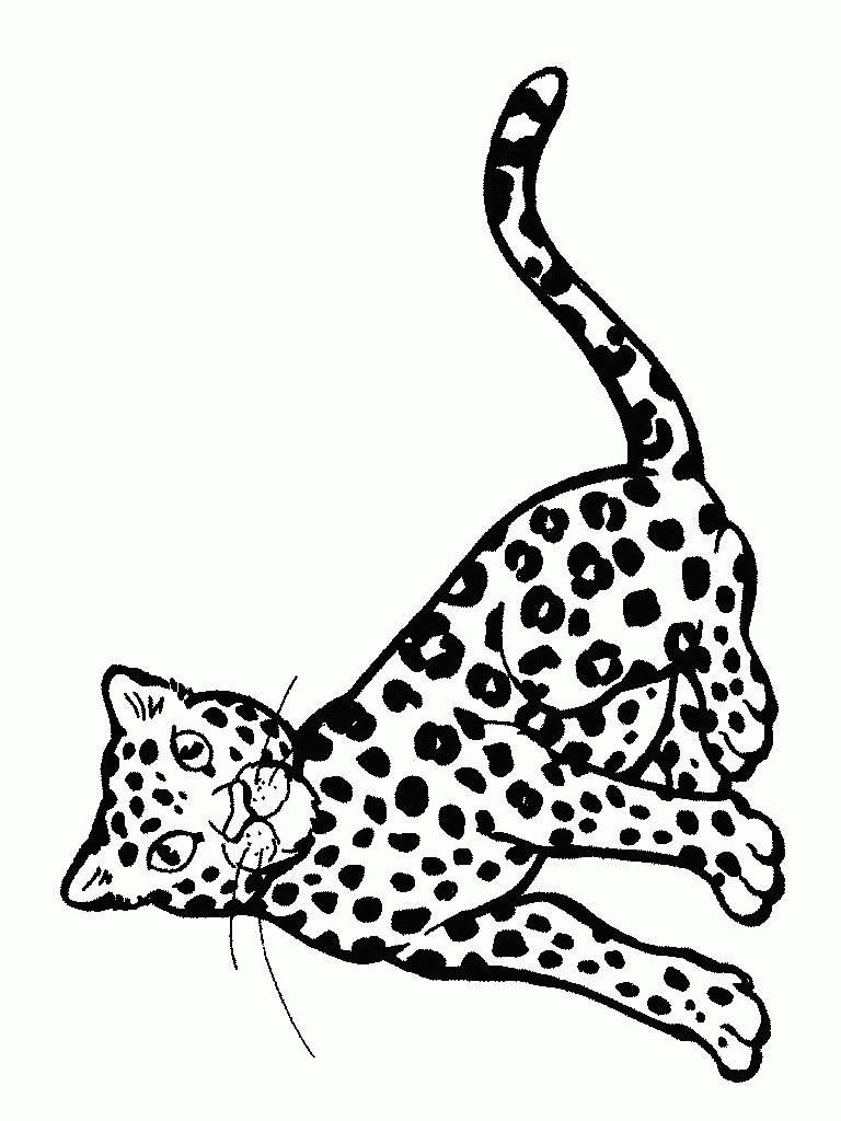 Baby Cheetah Coloring Pages
 Cute Baby Cheetah Coloring Pages Coloring Home