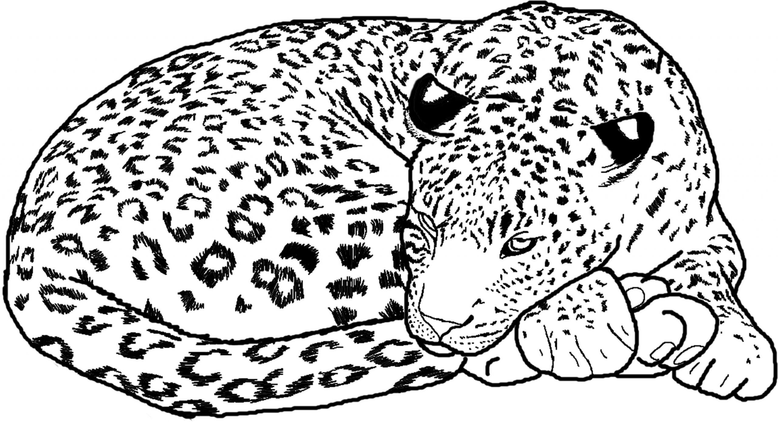 Baby Cheetah Coloring Pages
 Cute Baby Cheetah Coloring Pages Coloring Home