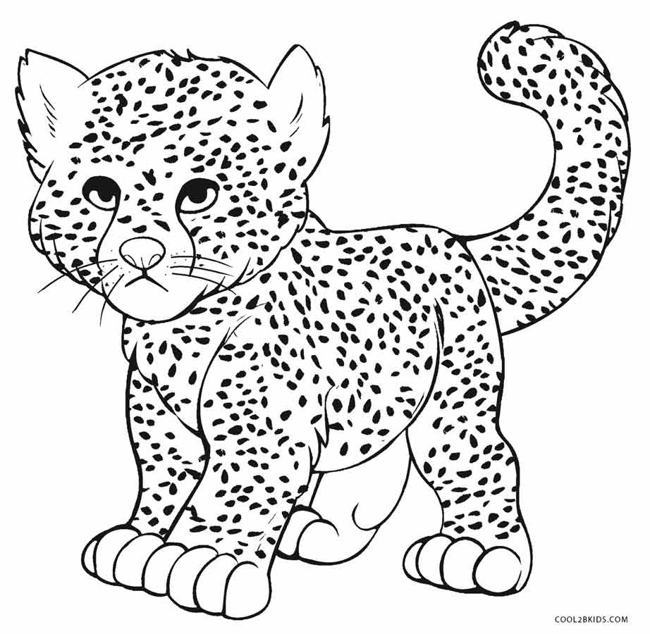 Baby Cheetah Coloring Pages
 Printable Cheetah Coloring Pages For Kids