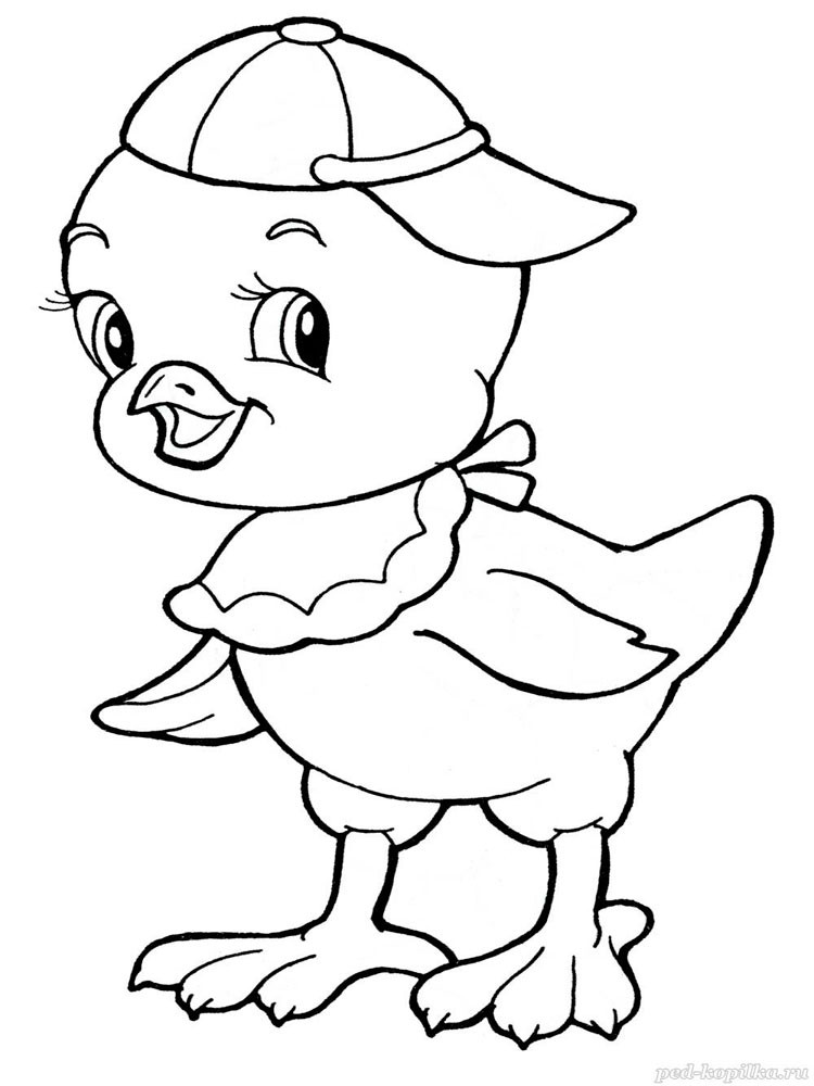 Baby Chick Coloring
 Baby Chick coloring pages Download and print Baby Chick