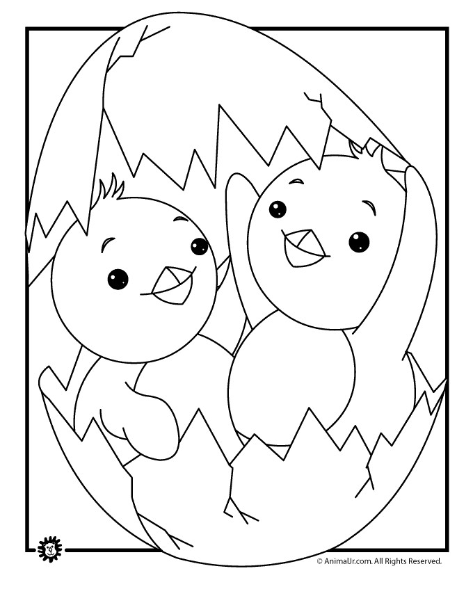 Baby Chick Coloring
 Baby Chicks Coloring Page