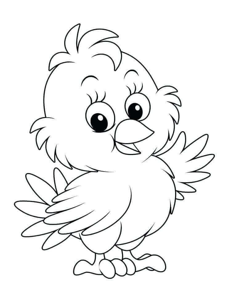 Baby Chick Coloring
 20 Free Easter Chick Coloring Pages Printable