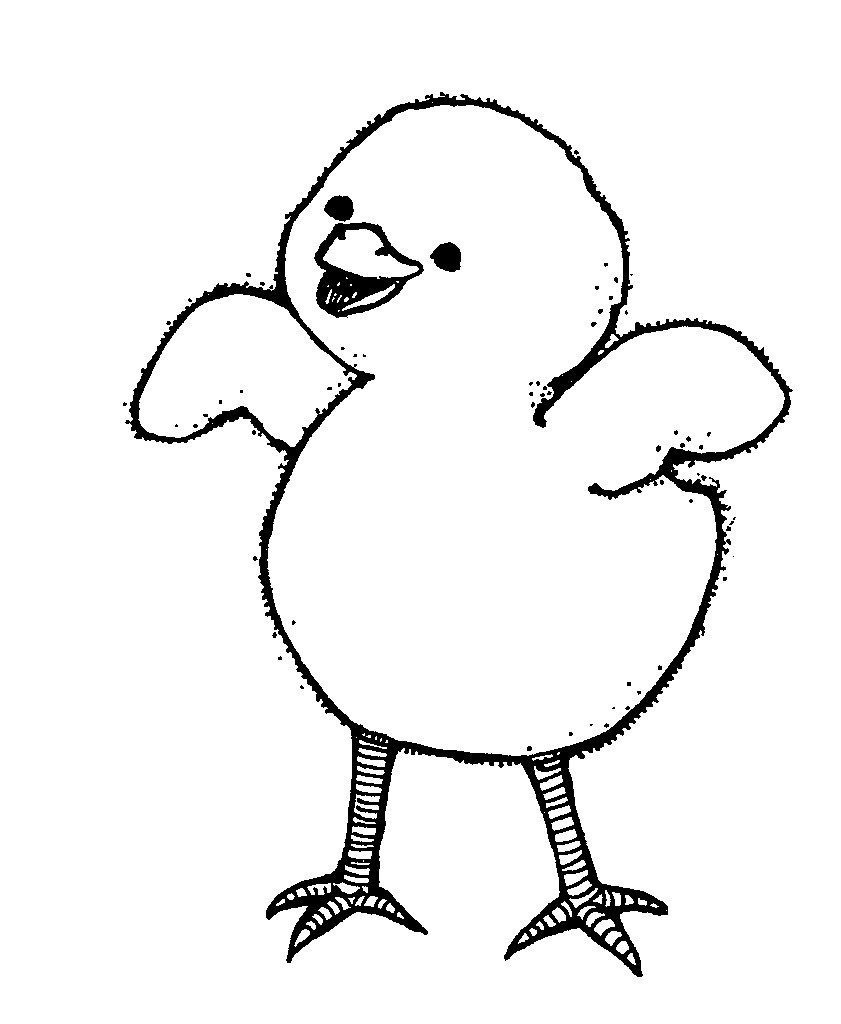 Baby Chick Coloring
 Chick Coloring Page Best Coloring Pages For Kids