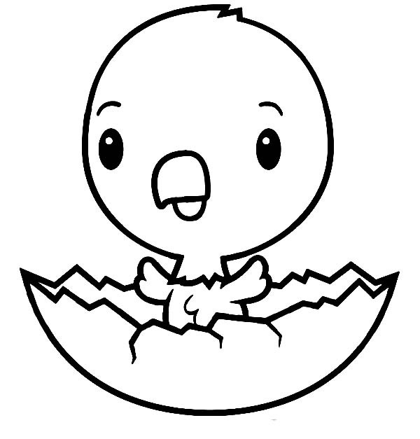 Baby Chick Coloring
 Baby Chick Is So Happy Coloring Page Kids Play Color