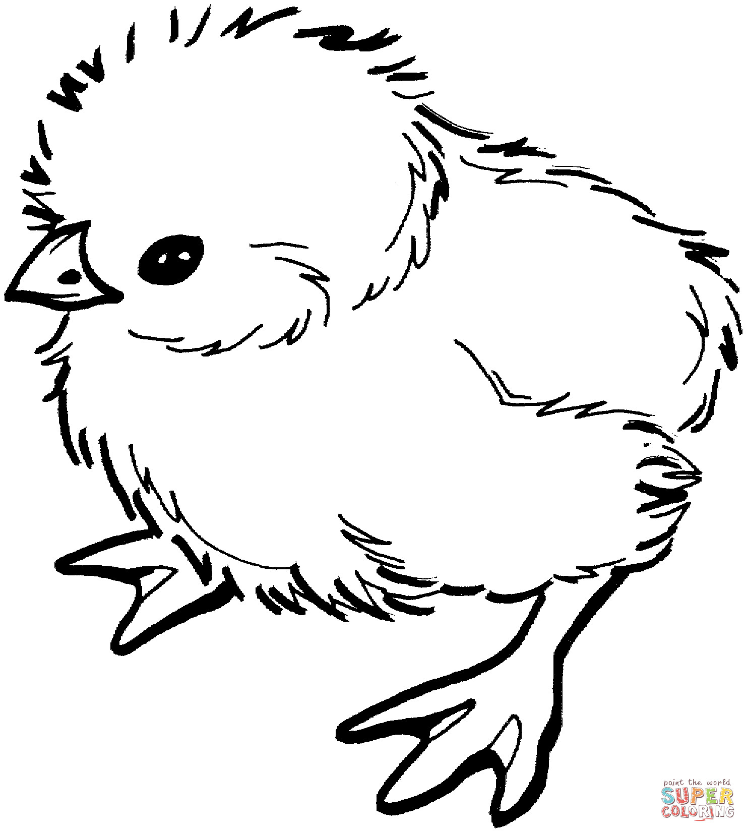 Baby Chick Coloring
 Baby chick coloring page