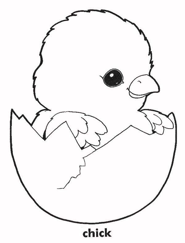 Baby Chicks Coloring
 Baby Chick In His Eggshell Coloring Page Kids Play Color