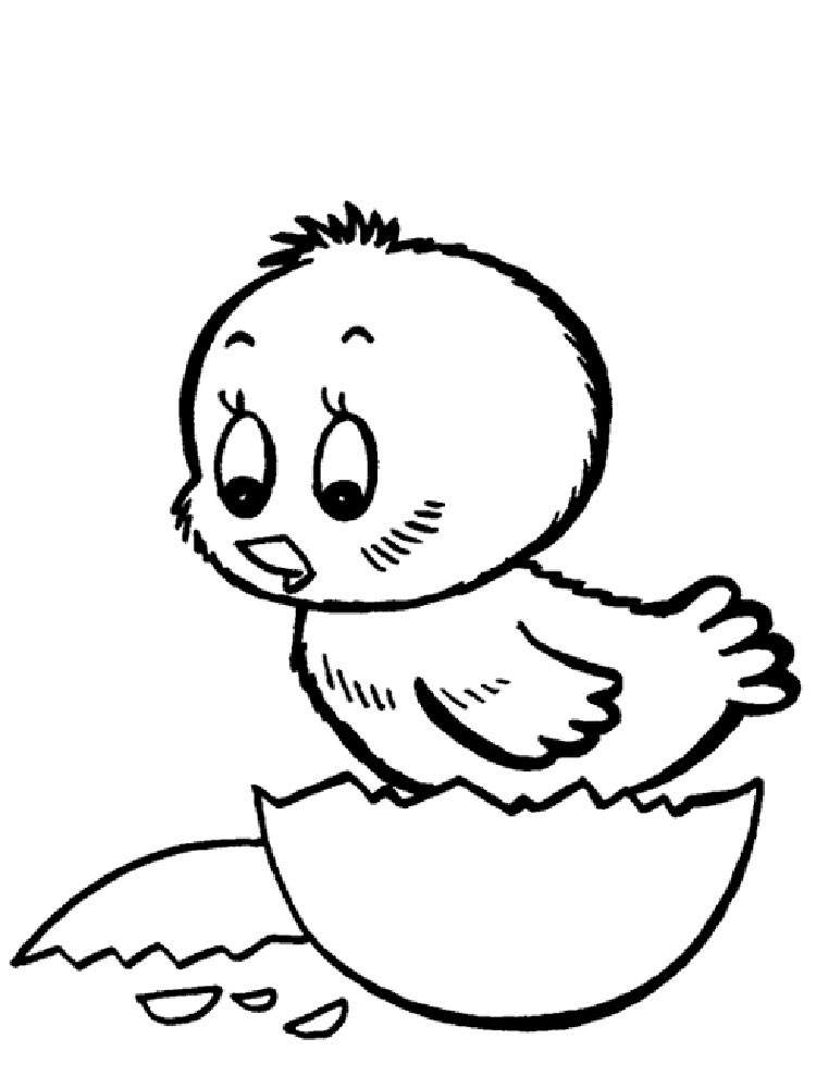 Baby Chicks Coloring Pages
 Baby Chick coloring pages Download and print Baby Chick