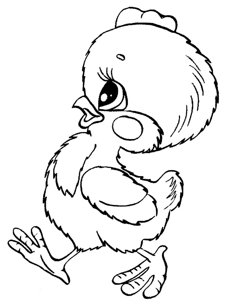 Baby Chicks Coloring Pages
 Baby Chick coloring pages Download and print Baby Chick