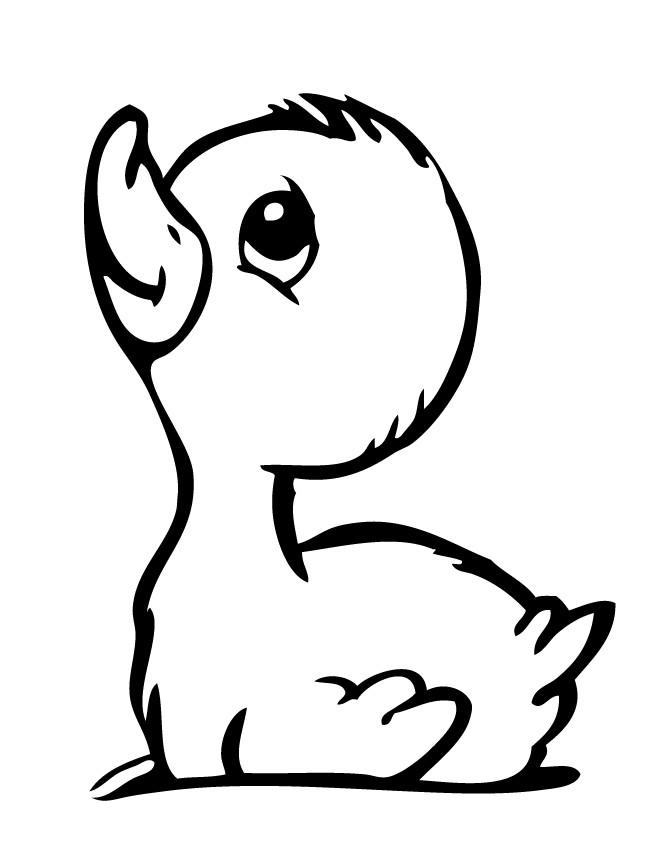 Baby Duck Coloring Page
 Baby Duckling Coloring Page