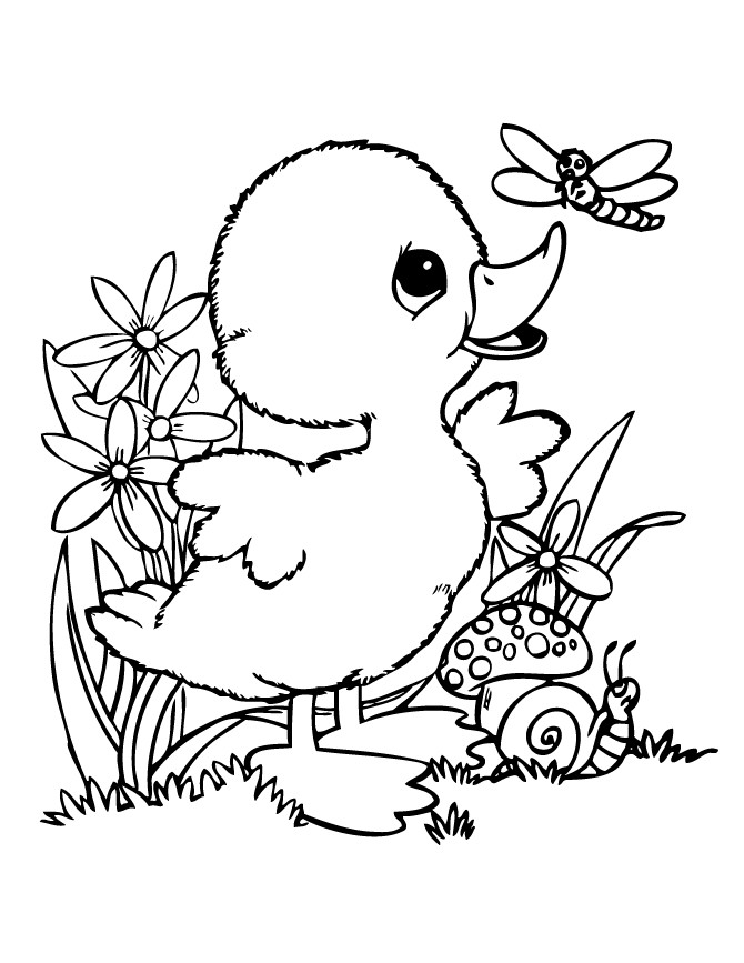 Baby Duck Coloring Page
 Cute Baby Duck Coloring Pages Coloring Pages