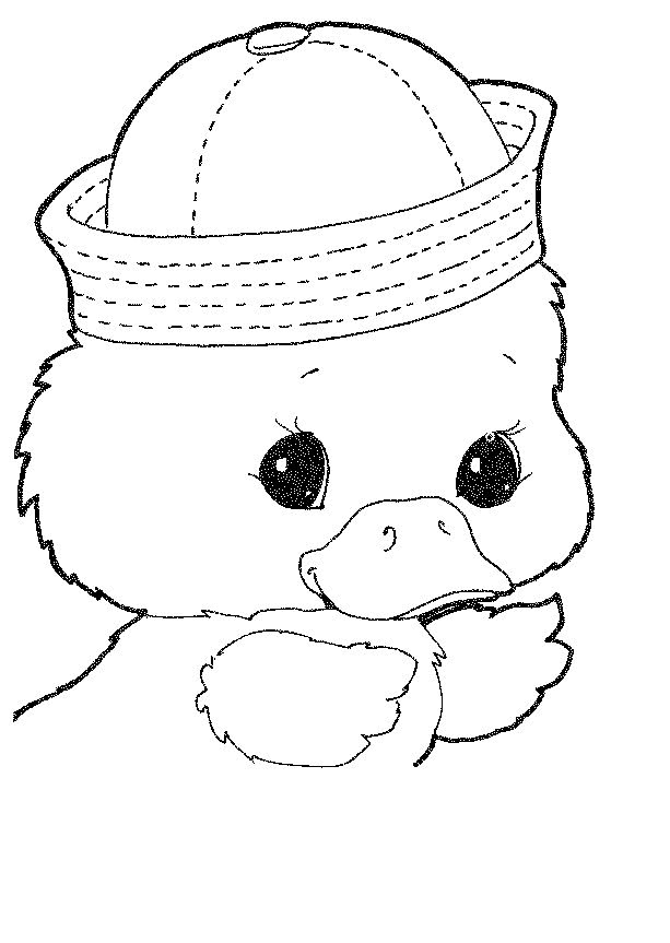 Baby Duck Coloring Page
 Baby Ducks Coloring Pages