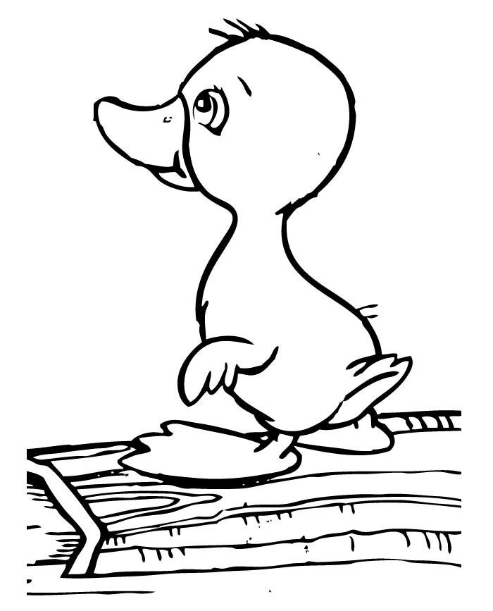 Baby Duck Coloring Page
 Duck Template Animal Templates