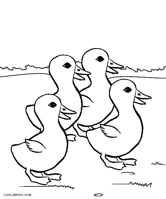 Baby Duck Coloring Page
 Printable Duck Coloring Pages For Kids
