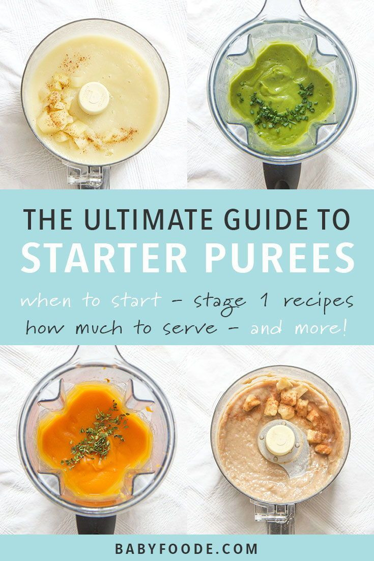 Baby Food Puree Recipes
 10 Super Starter Baby Food Recipes plus FREE ebook