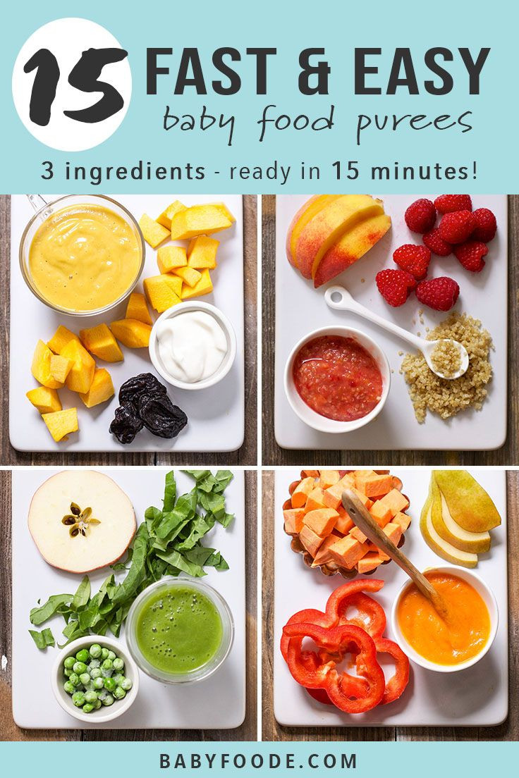 Baby Food Puree Recipes
 15 Fast Baby Food Recipes made in under 15 minutes