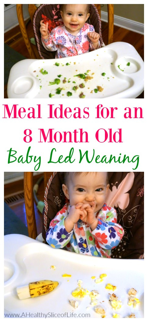 Baby Foods 8 Months Recipes
 Baby Led Weaning Meal Ideas 8 Months Old