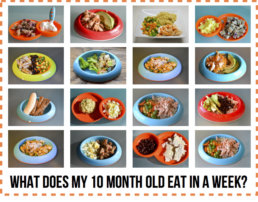 Baby Led Weaning Recipes 10 Months
 What Does My 10 Month Old Eat in a Week