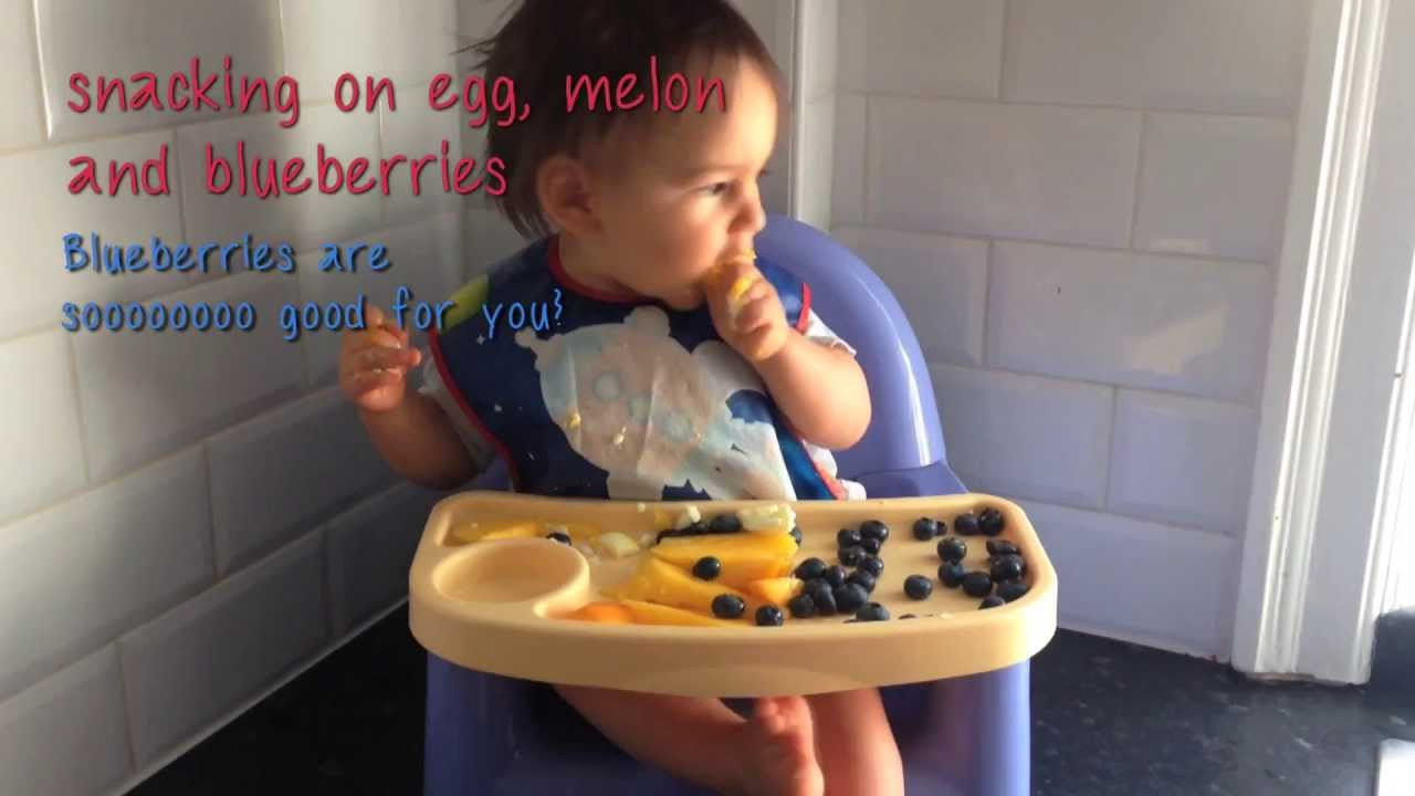 Baby Led Weaning Recipes 10 Months
 Baby Led Weaning From 10 Months to 1 year