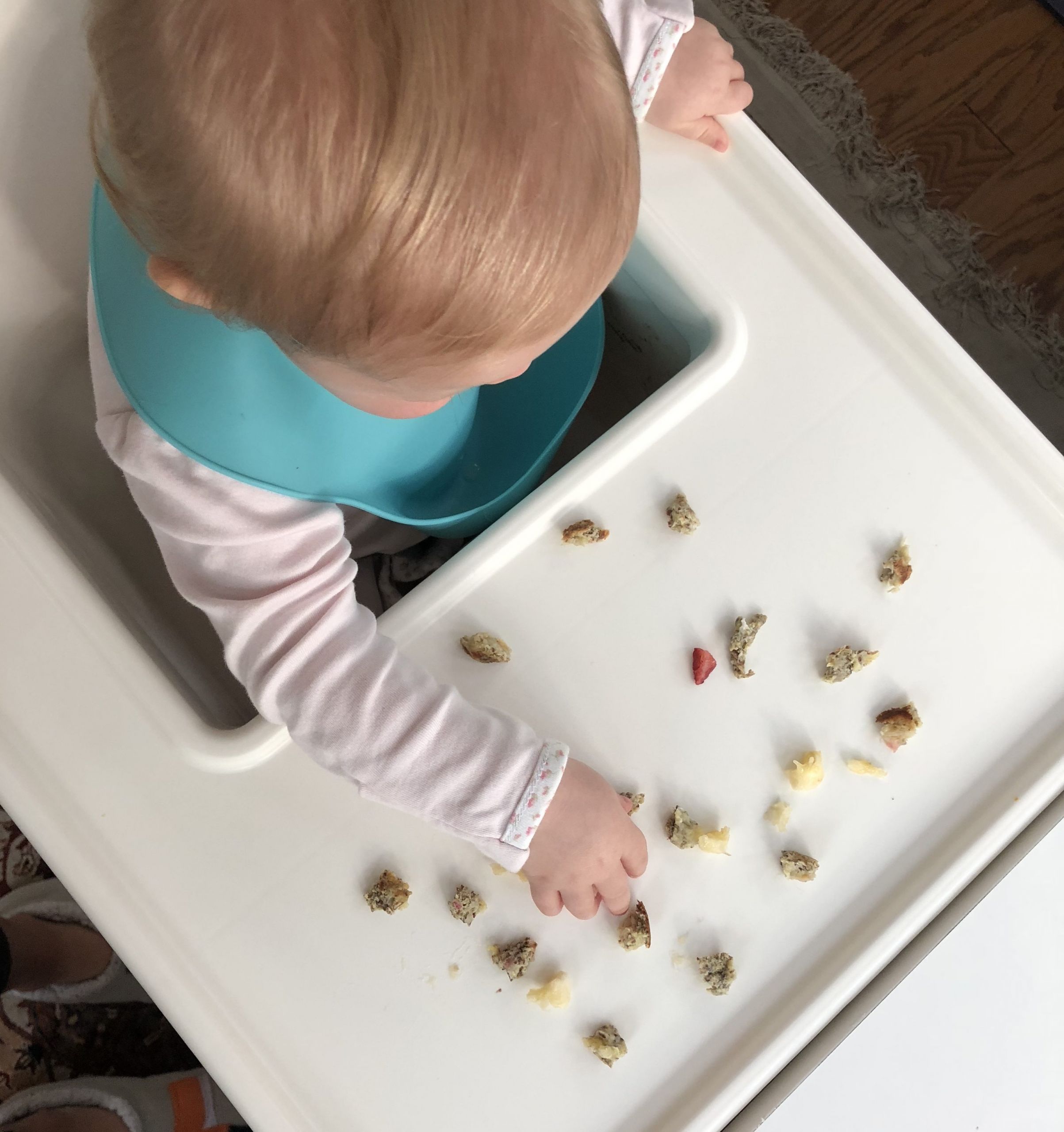 Baby Led Weaning Recipes 10 Months
 10 Month Baby Update fANNEtastic food