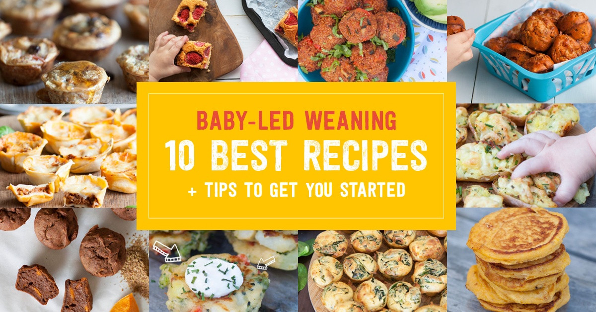 Baby Led Weaning Recipes 10 Months
 10 Recipes and Tips to Start Baby Led Weaning Baby Led