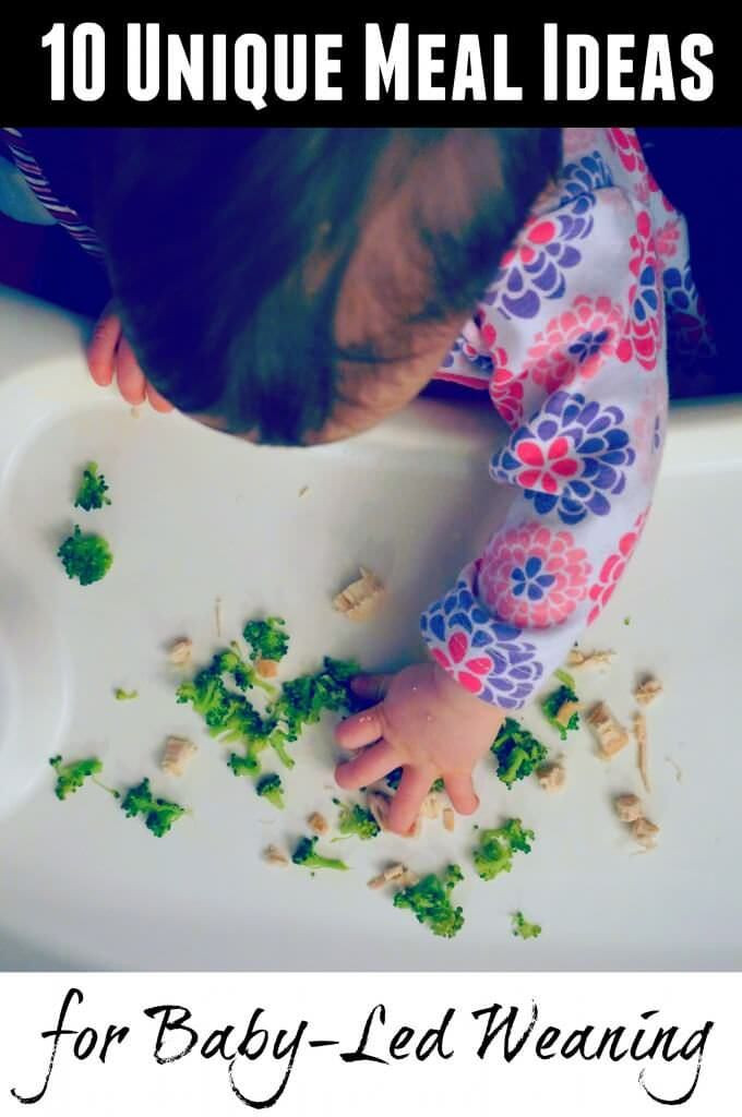 Baby Led Weaning Recipes 10 Months
 BLW Breakfast for my 9 Month Old