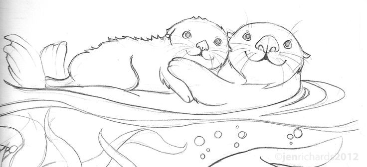 Baby Otter Coloring Pages
 10 best Sea otter project images on Pinterest
