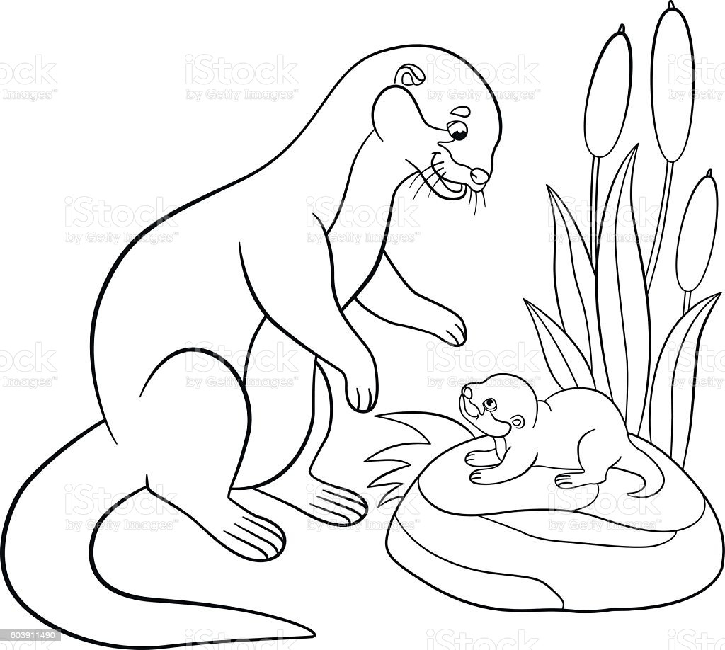 Baby Otter Coloring Pages
 Coloring Pages Mother Otter Looks At Her Cute Baby Stock