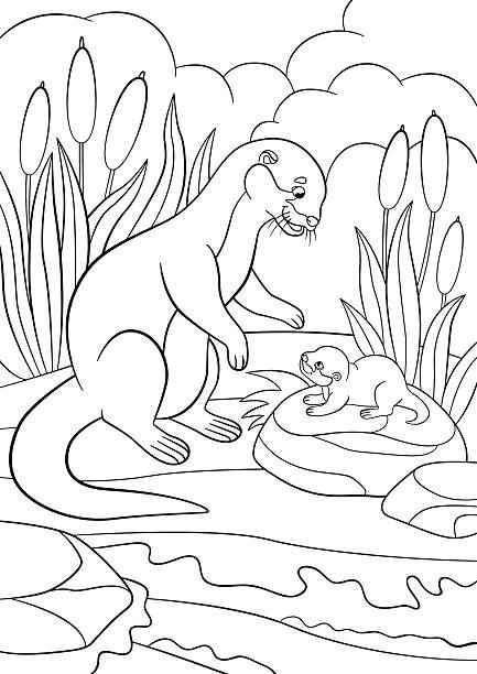 Baby Otter Coloring Pages
 Royalty Free River Otter Clip Art Vector