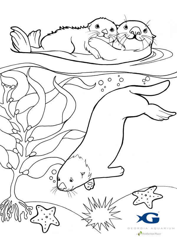 Baby Otter Coloring Pages
 Sea Otter Awareness Week 2012