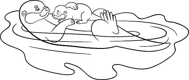 Baby Otter Coloring Pages
 Best River Otter Illustrations Royalty Free Vector