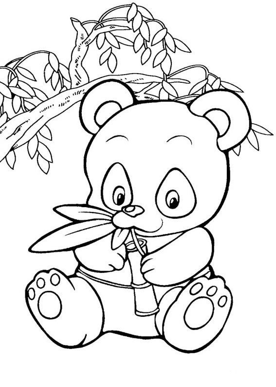 Baby Panda Coloring Page
 Panda Coloring Pages Best Coloring Pages For Kids