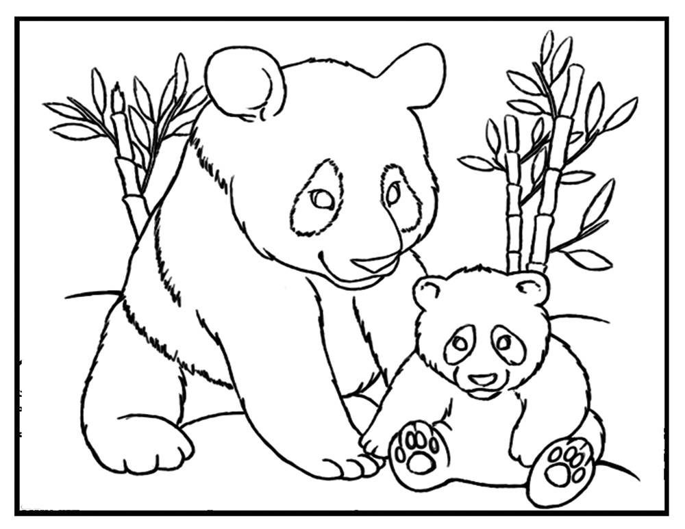 Baby Panda Coloring Pages
 Panda coloring sheet Panda coloring page panda printable