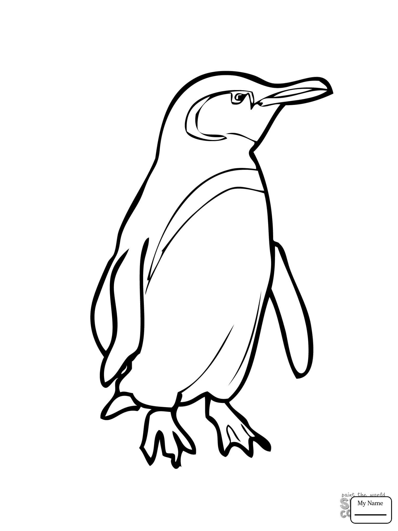 Baby Penguin Coloring Page
 Baby Penguin Coloring Pages