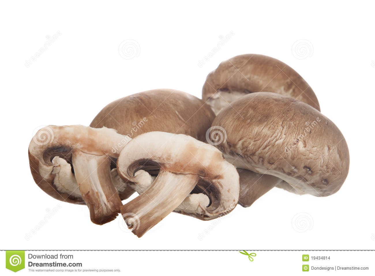 Baby Portobello Mushroom
 Baby Portobello Mushrooms Stock Image