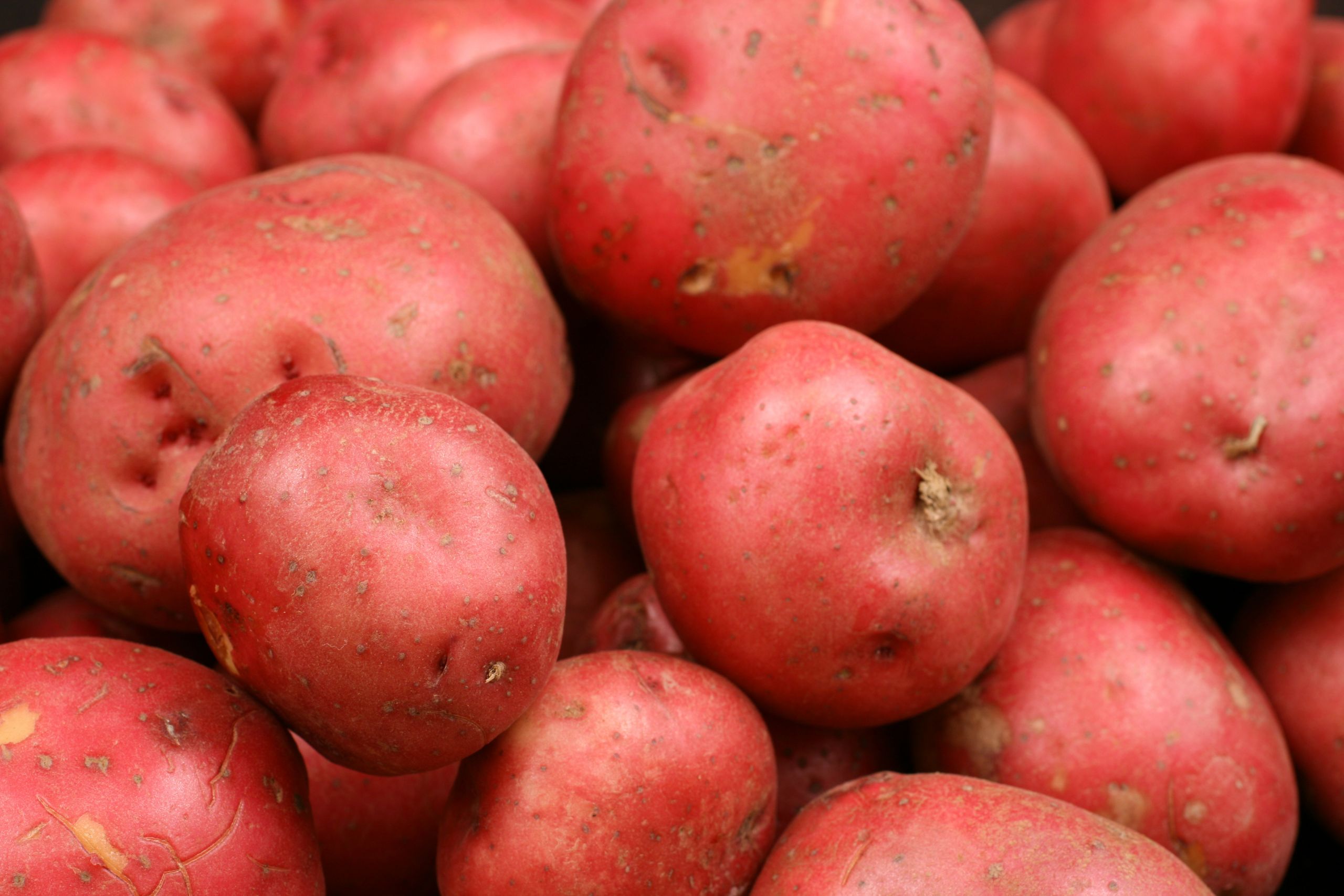 Baby Red Mashed Potatoes
 10 Ways to Enjoy Melissa s Potatoes Melissa s Foo s