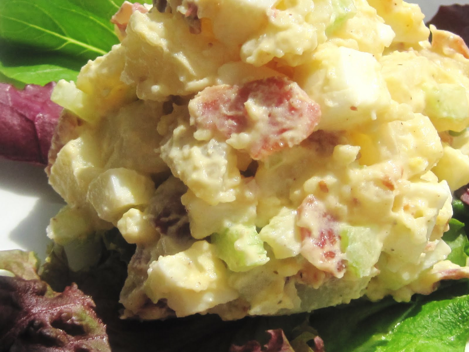 Baby Red Potato Salad Recipes
 Baby Red Potato Salad Recipe — Dishmaps