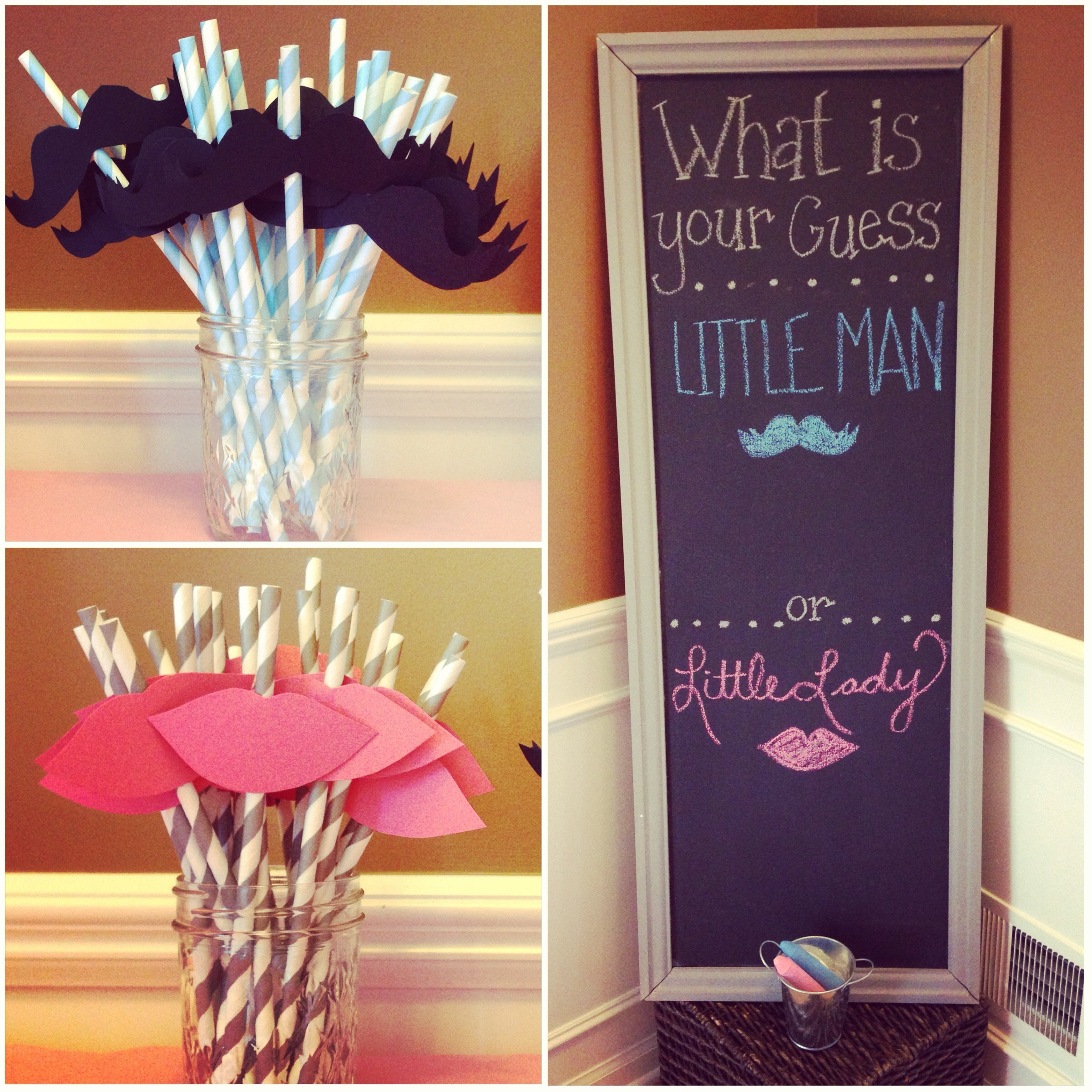 Baby Reveal Decoration Ideas
 beau or bow