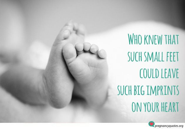 Baby Toes Quotes
 Little Feet Big Imprints Baby Feet Quotes