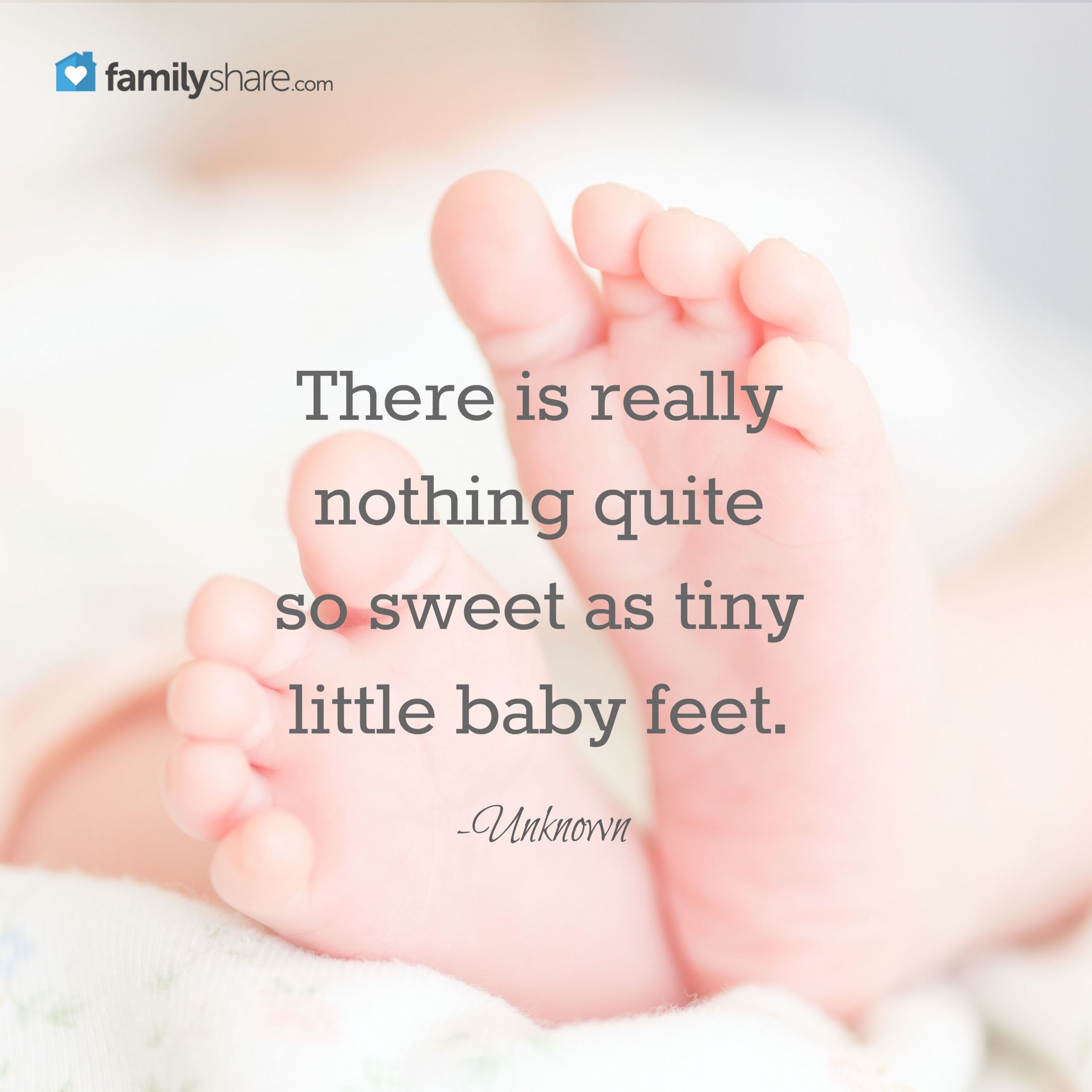 Baby Toes Quotes
 There is nothing quite so sweet as tiny little baby feet