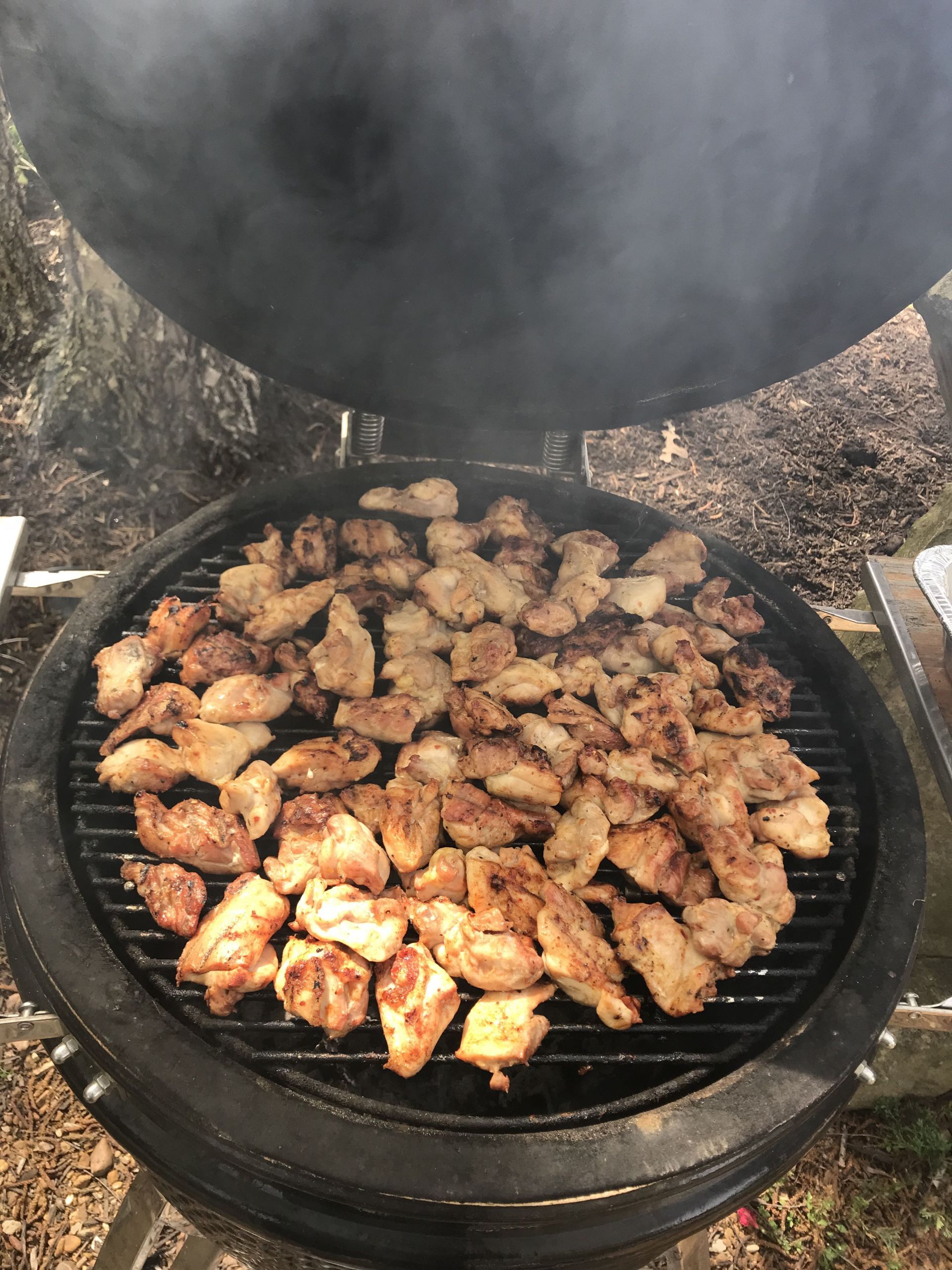 Backyard Barbecue Jackson Tn
 BBQ Chicken Bites on the Safire Grill
