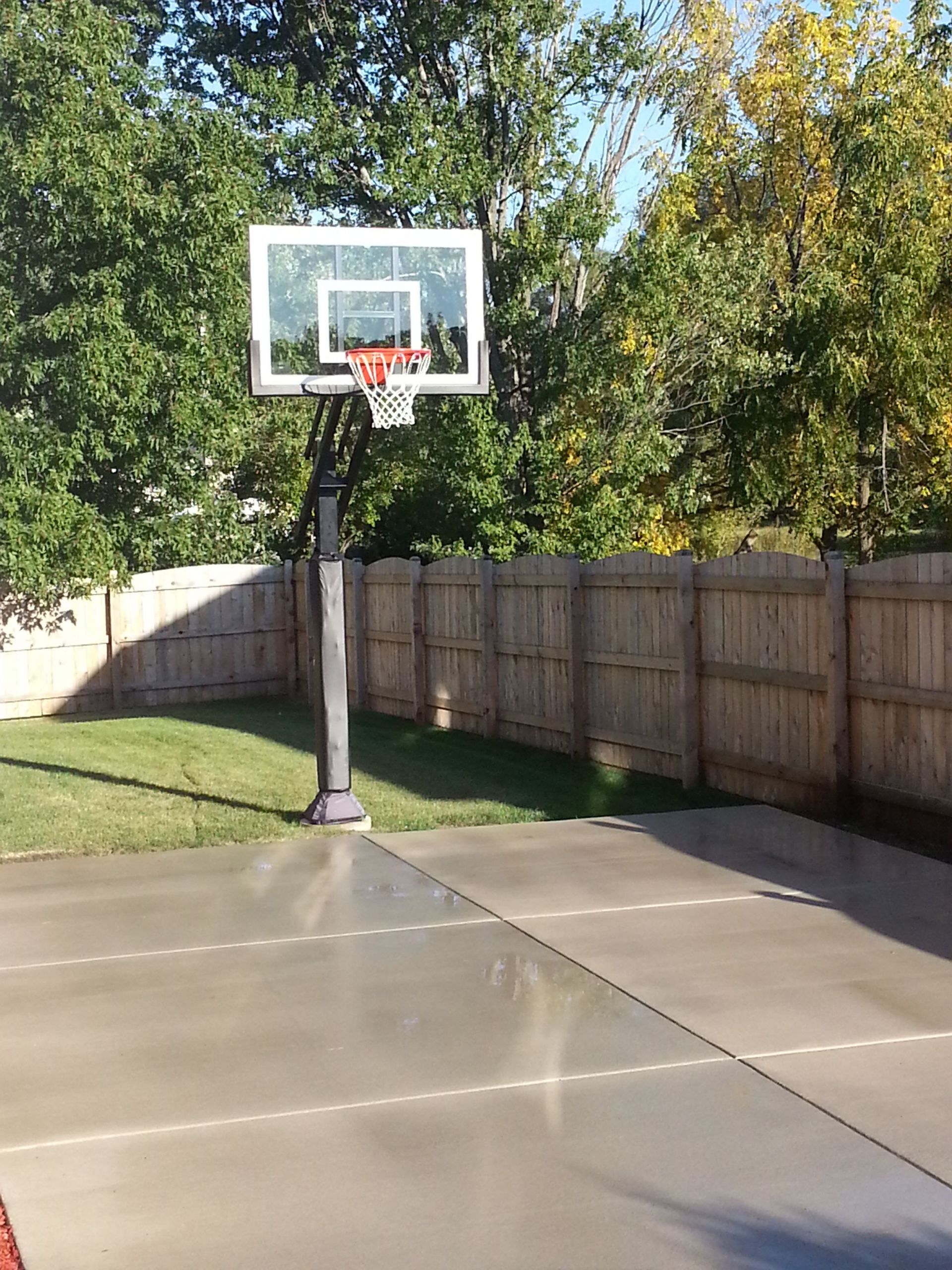 Backyard Basketball Hoop
 The backyard fence en passes this Pro Dunk Silver