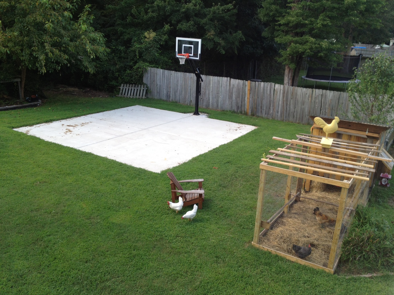 Backyard Basketball Hoop
 Backyard basketball on a concrete slab