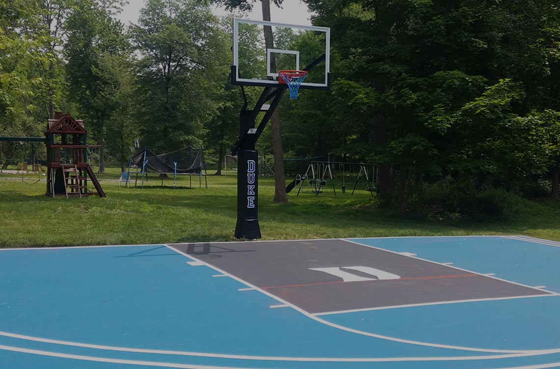 Backyard Basketball Hoop
 Basketball Hoops Backyard Sports