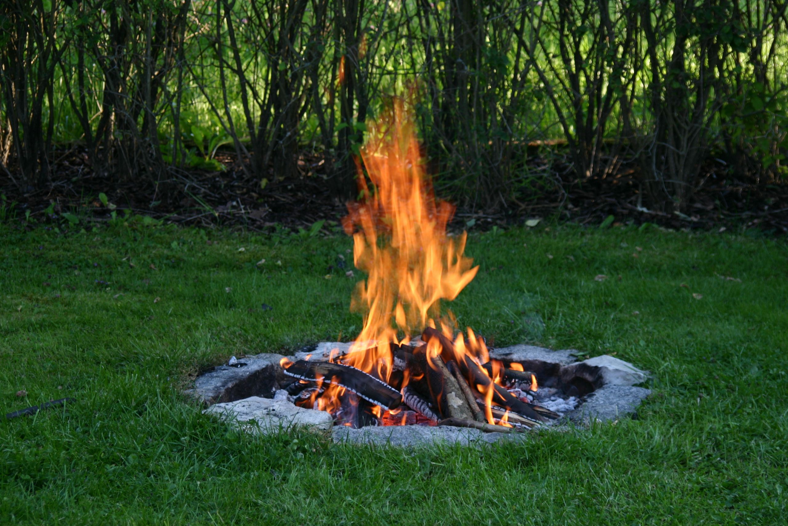 Backyard Camp Fire
 Pringle to host ‘Plein Air’ and campfire events this