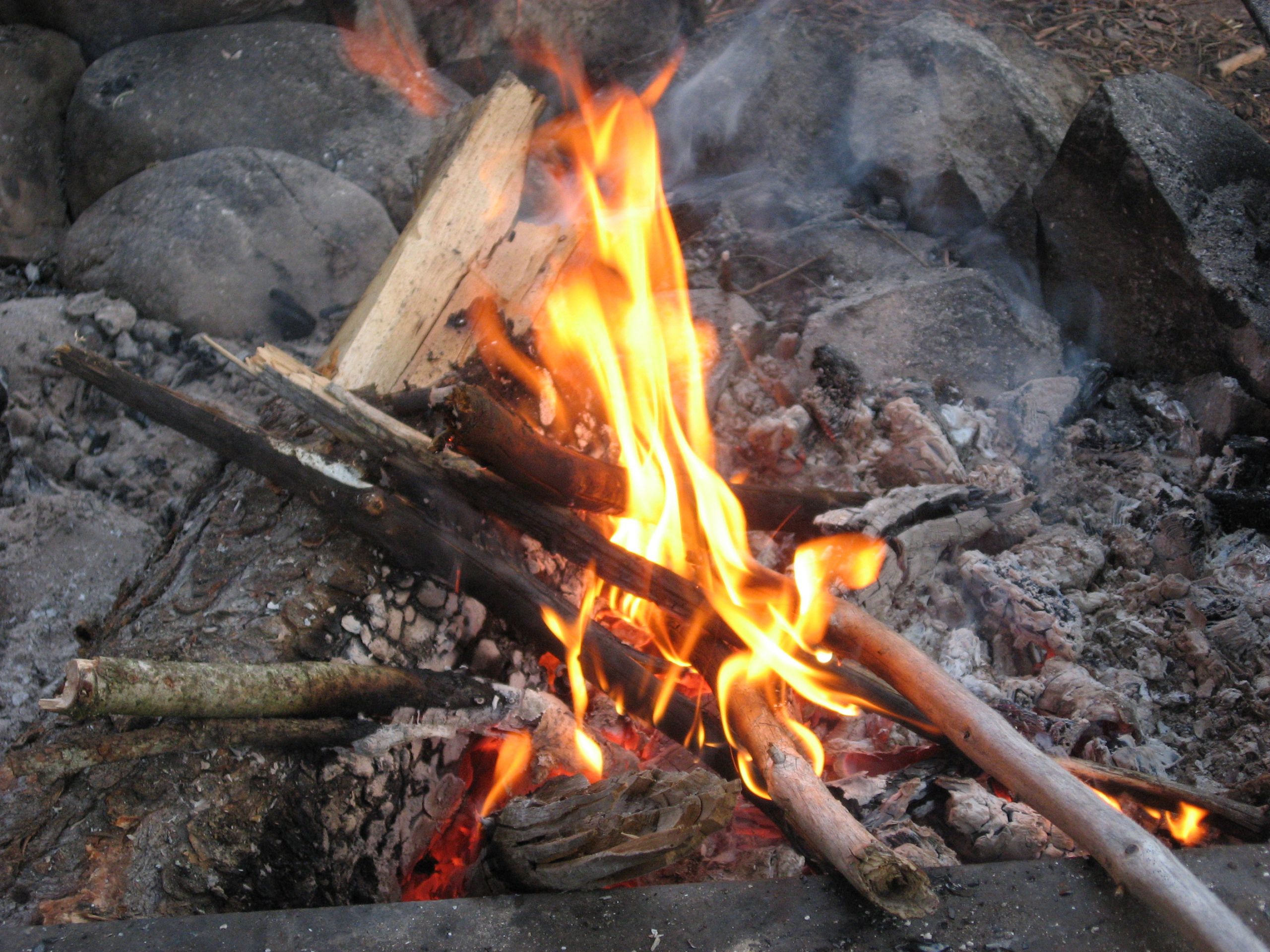 Backyard Camp Fire
 Pitching the Tent at Cedar Springs Campground