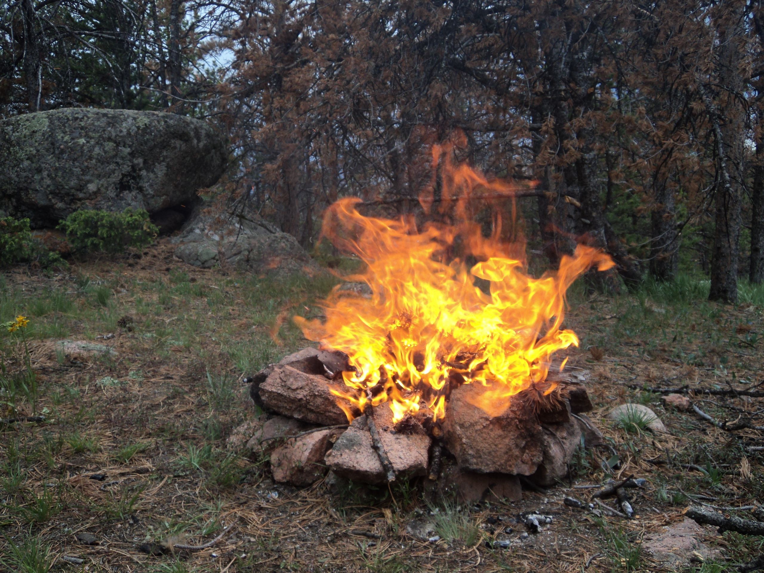 Backyard Camp Fire
 Camping mountain bikes fire and beer