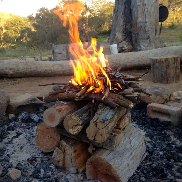 Backyard Camp Fire
 Making an Upside Down Fire Milkwood