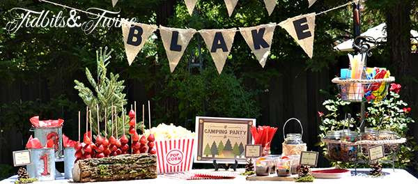 Backyard Campout Birthday Party Ideas
 Backyard Campout Birthday Party Ideas