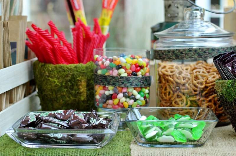 Backyard Campout Birthday Party Ideas
 Boys Backyard Campout Party Birthday Party Ideas